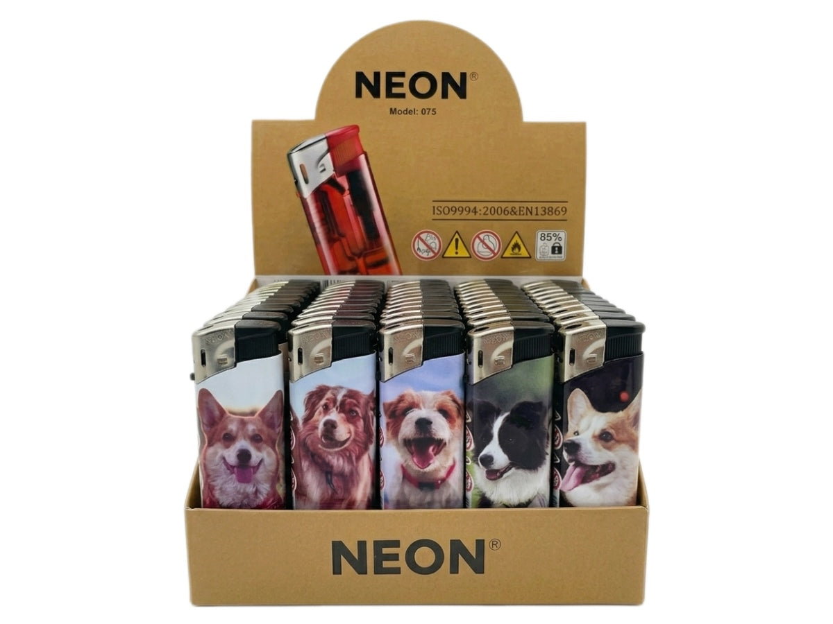 NEON Dog Set